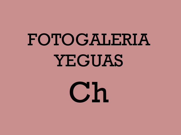 Yeguas Criollas CH